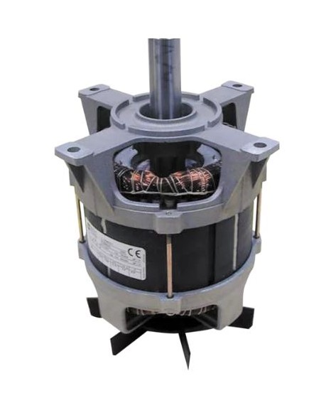 EXTRACTEUR DE JUS J80