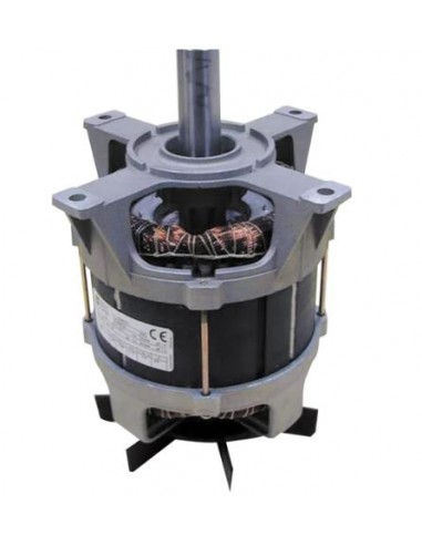 EXTRACTEUR DE JUS J80 BUFFET