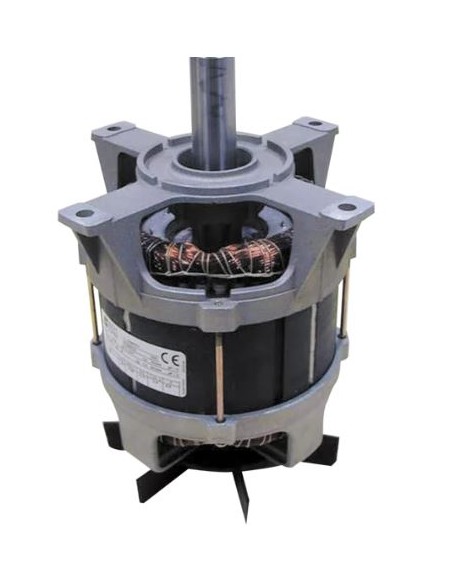 EXTRACTEUR DE JUS J80 BUFFET