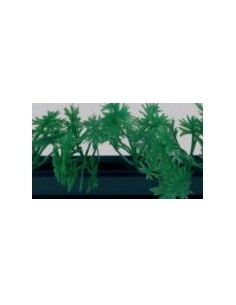 BARRETTE DECORATIVE VITRINE... 2