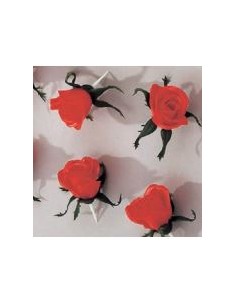 ROSES A PIQUER 25 UNITES