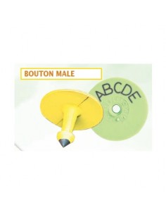 BOUTON MALE JAUNE POUR...