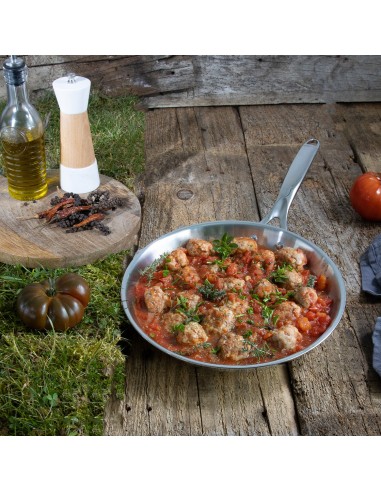 POELE INOX LIGNE CASTEL PRO TOUS FEUX