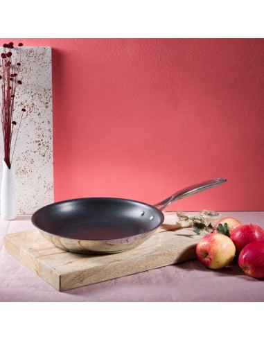 POELE INOX LIGNE CASTEL PRO TOUS FEUX...