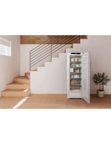 CONGELATEUR POSABLE LIEBHERR FND 505...