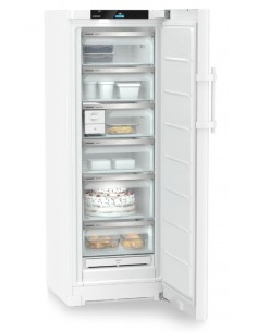 CONGELATEUR POSABLE... 2