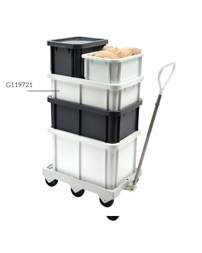 BAC DE STOCKAGE ALIMENTAIRE 60 X 40 CM