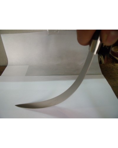 COUTEAU FILET DE SÔLE 20 CM BELLYNCK