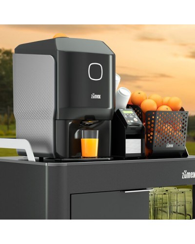 PRESSE AGRUMES SUMEX SOUL 2 - BELLYNCK ET FILS