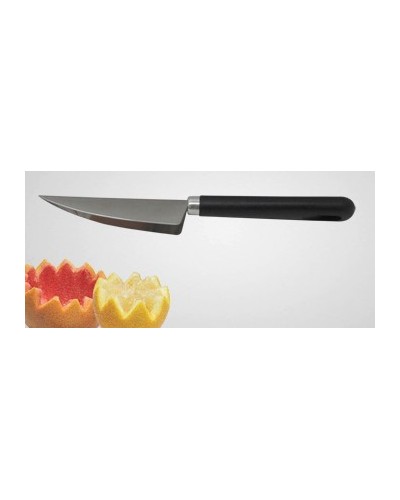 DENTELEUR DECOR MELON ET FRUIT 2