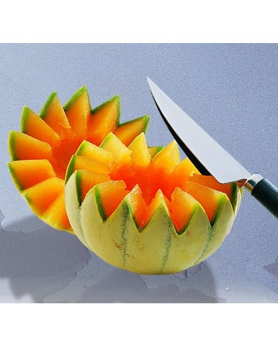 DENTELEUR DECOR MELON ET FRUIT