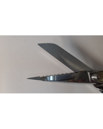 Ciseaux à Poissons Crantés 20 cm Inox - Bellynck et Fils