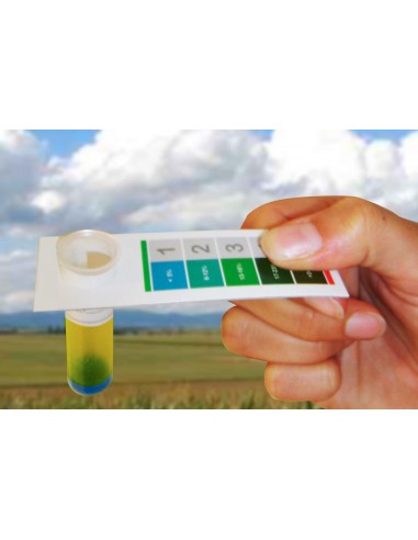 Testeur Huile Boite de 10 - Bellynck et Fils