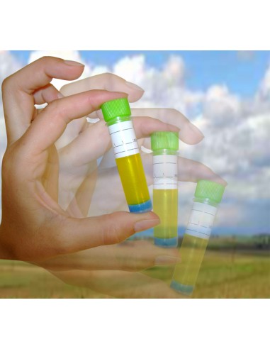 Testeur Huile Boite de 10 - Bellynck et Fils