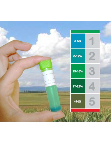 Testeur Huile Boite de 10 - Bellynck et Fils