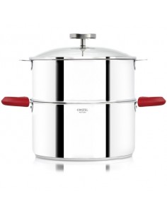 CUISEUR VAPEUR BIOME... 2