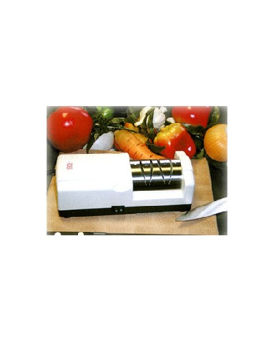 AIGUISEUR ELECTRIQUE 2 MEULES