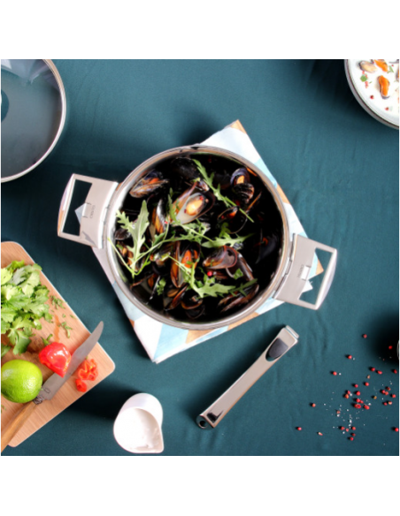 FAITOUT INOX LIGNE CASTELINE AMOVIBLE TOUS FEUX - BELLYNCK ET FILS