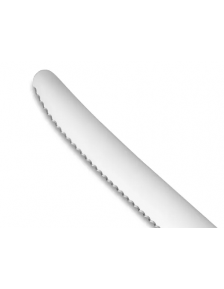 COUTEAU À TOMATE CREATIVE CHEF