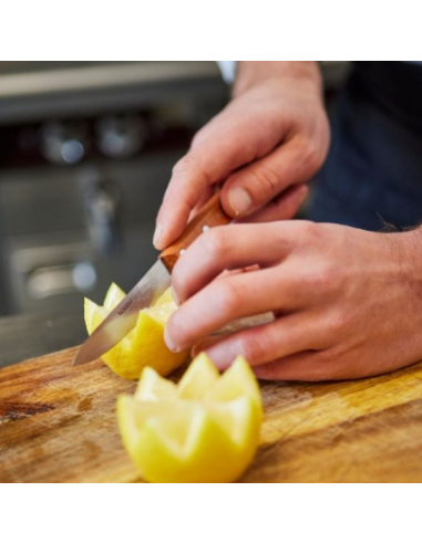 COUTEAU D'OFFICE NOGENT CHARME 9 CM