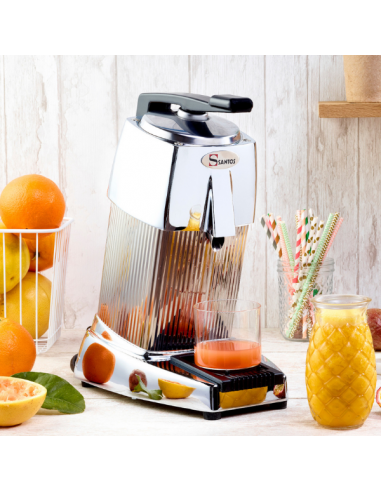 PRESSE AGRUMES À LEVIER CHROMÉ N°10