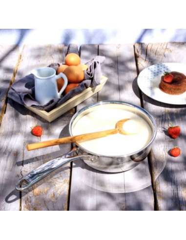 CASSEROLE CRISTEL INOX LIGNE CASTEL PRO